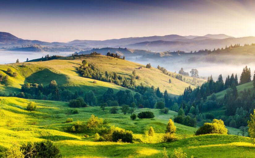 Lorem ipsum dolor sit amet